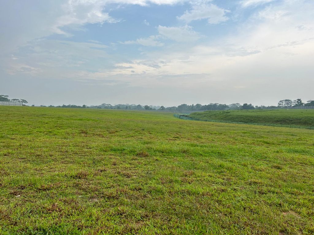 Proposed Relocation and Reinstatement (and associated works) of existing aggregate at Lim Chu Kang - Image 5